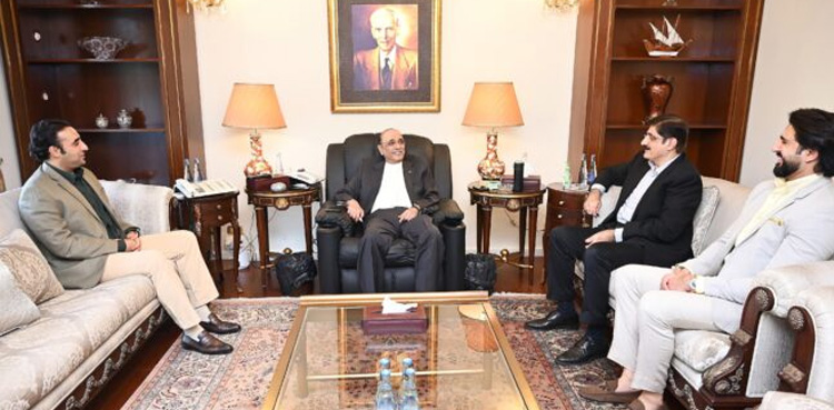 President Zardari directs Sindh CM to expand solar panel program