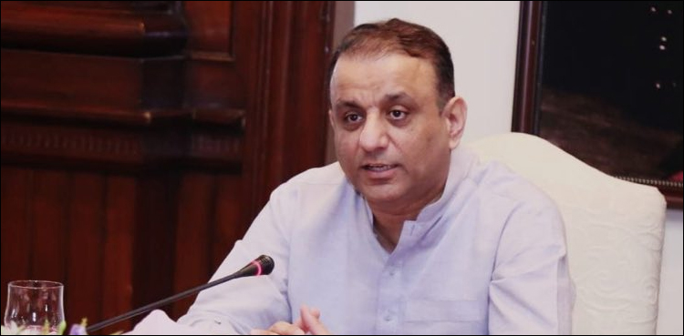 Privatisation should be competitive and successful, Aleem Khan