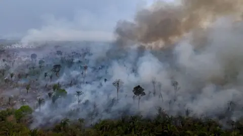 Getty Images A fire in the Amazon rainforest 