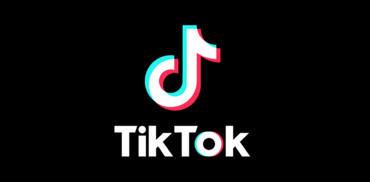 TikTok Community Guidelines Report Pakistan- 15 October, 2024