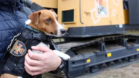 Getty Images Patron the mine-sniffing dog in front of a mine clearing machine