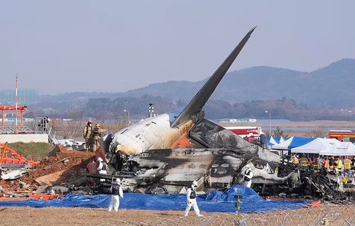 At least 167 killed, two crew rescued in South Korea plane crash - Daily Times