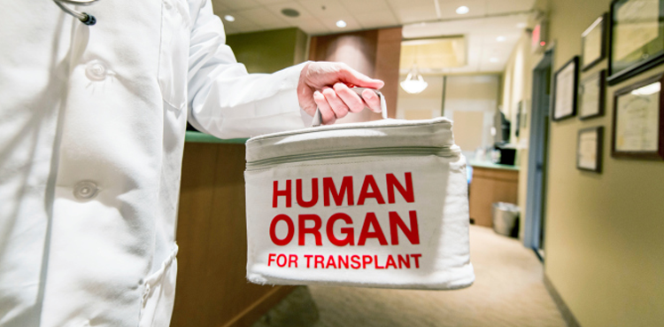 Organ transplants banned in Islamabad