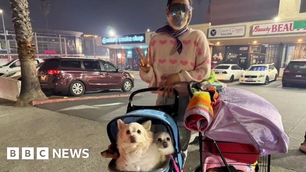 Chaos on Hollywood streets as people flee Sunset fire