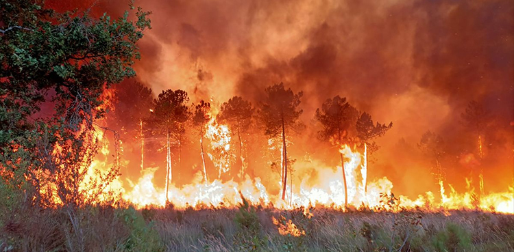 Fueling the Los Angeles fires: the Santa Ana winds