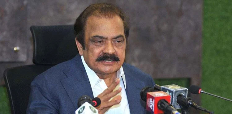 Rana Sanaullah says PM forms committee on PTI’s demand