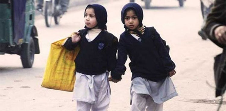 Winter vacations in Punjab extended till January 20?