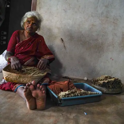 Rashmitha T An elderly woman wearing a red saree with golden borders sits with a basket of hand-rolled cigarettes. There are two other stacks of rolled beedis placed next to her. 