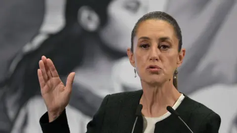 AFP Mexican President Claudia Sheinbaum gestures with her hand as she speaks at her daily news conference.