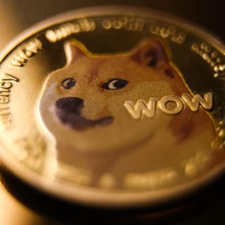 Dogecoin to Pakistani Rupee Rate Today- March 1, 2025