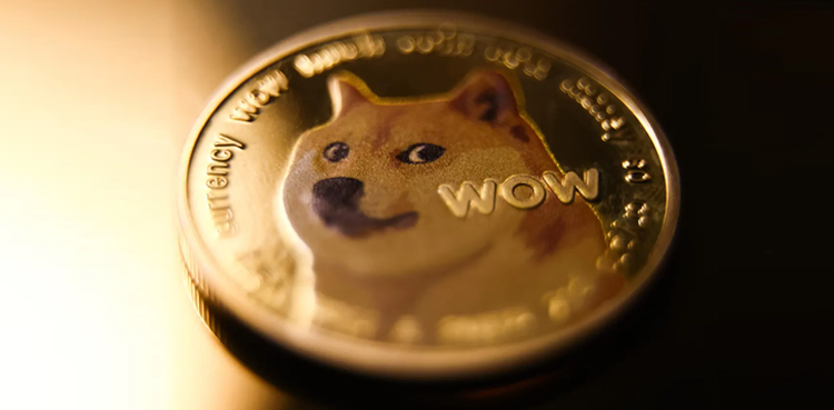 Dogecoin to Pakistani Rupee Rate Today- March 1, 2025