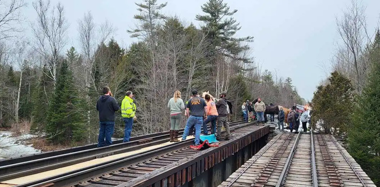 Horse wanders on to railway tracks, stops train traffic; pics go viral