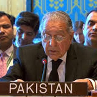 Taliban officials complicit in escalating cross-border TTP attacks, UNSC told